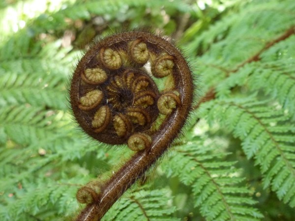 Personal Development 1